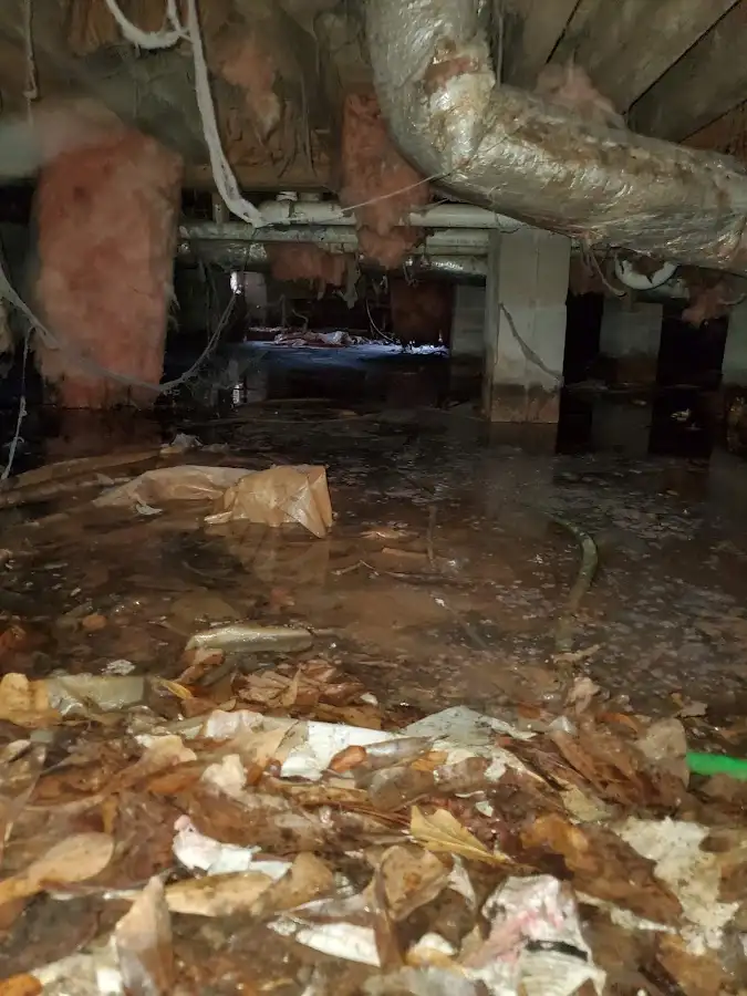 Crawl space flood assessment for Leak Detection & Repair in Crosspointe